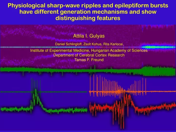 physiological sharp wave ripples and epileptiform