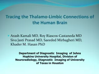 Tracing the Thalamo-Limbic Connections of the Human Brain