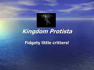 Kingdom Protista