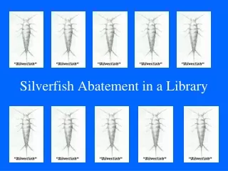Silverfish Abatement in a Library