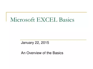 Microsoft EXCEL Basics
