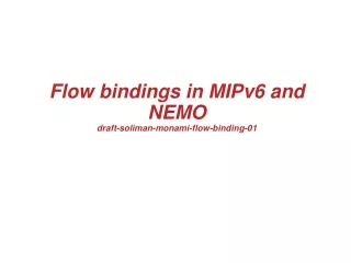 Flow bindings in MIPv6 and NEMO draft-soliman-monami-flow-binding-01