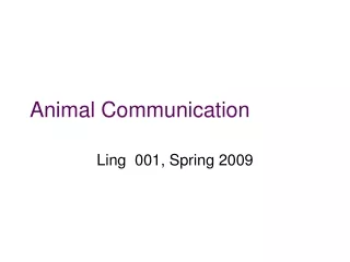 Animal Communication