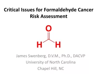 Critical Issues for Formaldehyde Cancer Risk Assessment