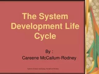 The System Development Life Cycle