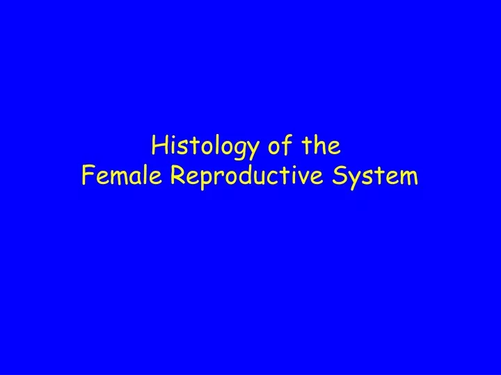 histology of the female reproductive system