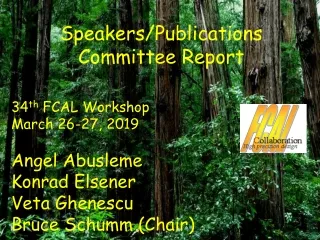 Speakers/Publications Committee Report 34 th  FCAL Workshop March 26-27, 2019 Angel Abusleme