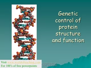 Genetic control of protein  structure and function