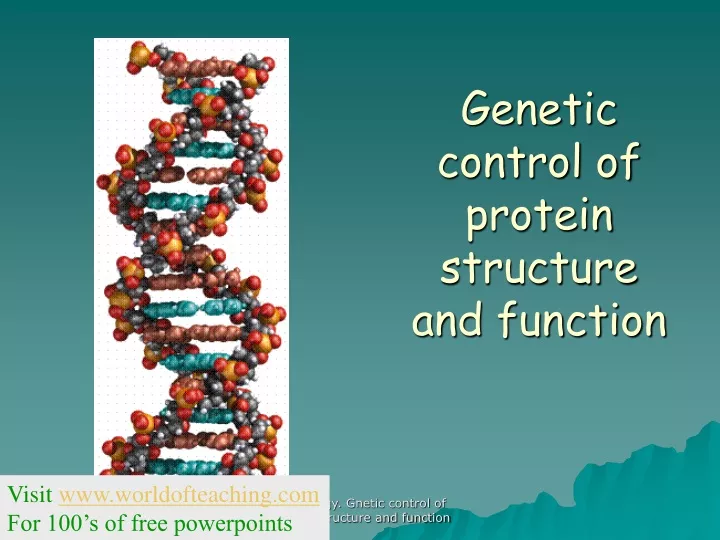 genetic control of protein structure and function