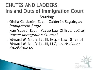 CHUTES AND LADDERS:  Ins and Outs of Immigration Court