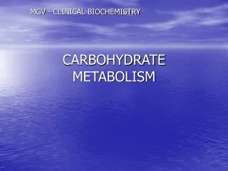 CARBOHYDRATE METABOLISM