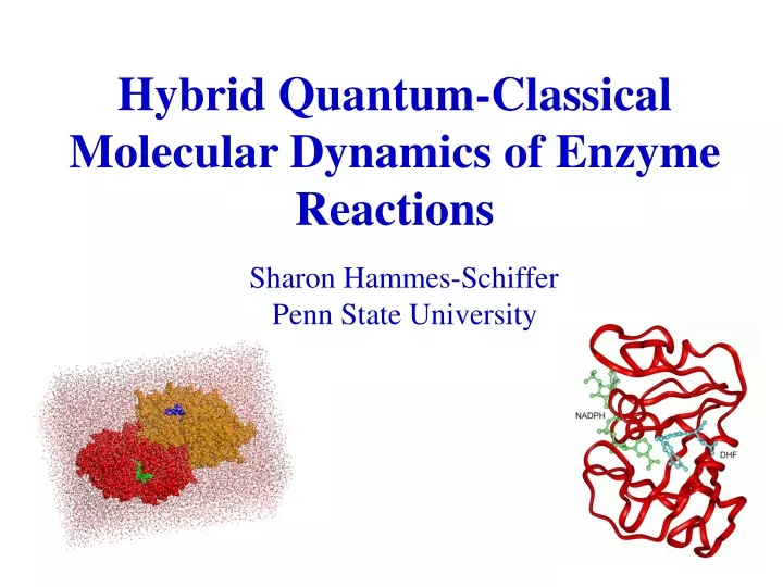 hybrid quantum classical molecular dynamics of enzyme reactions