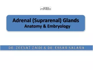 Dr.  Zeenat Zaidi  &amp; Dr.  Essam Salama