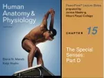 15 - slide 1