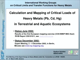 First Meeting of the Expert Group on Heavy Metals under the  Convention on LRTAP / WGSR,