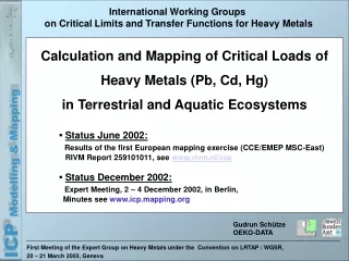 international working groups on critical limits