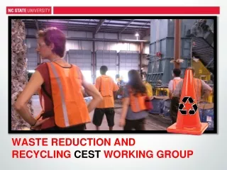 WASTE REDUCTION AND  RECYCLING  CEST  WORKING GROUP