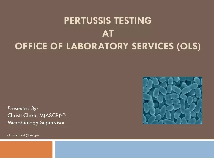 pertussis testing at office of laboratory services ols