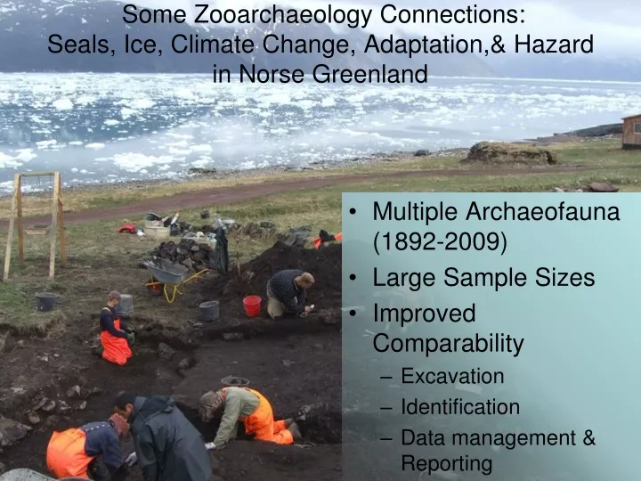 some zooarchaeology connections seals ice climate change adaptation hazard in norse greenland