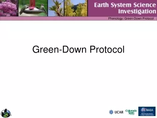 Green-Down Protocol