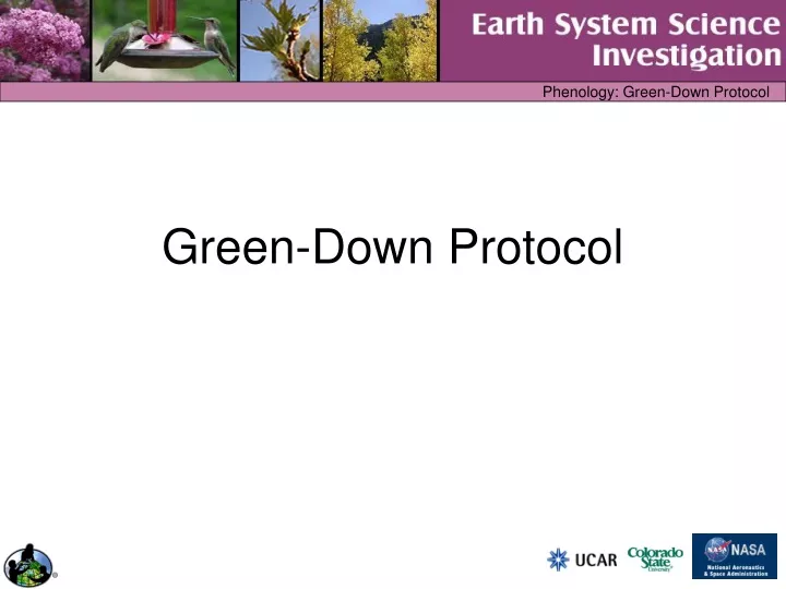 green down protocol