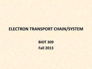 ELECTRON TRANSPORT CHAIN/SYSTEM