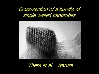Cross-section of a bundle of single walled nanotubes