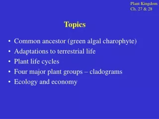 Common ancestor (green algal charophyte) Adaptations to terrestrial life  Plant life cycles