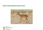 PPT - MN Farming Game PowerPoint Presentation, free download - ID:6823508