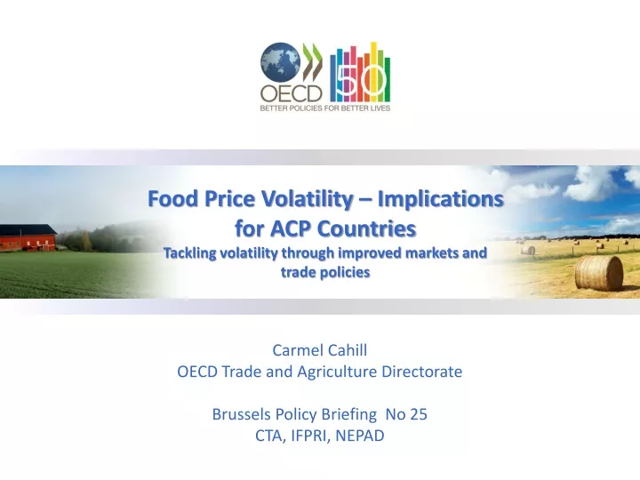 food price volatility implications