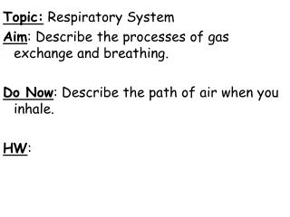 Topic:  Respiratory System Aim : Describe the processes of gas exchange and breathing.