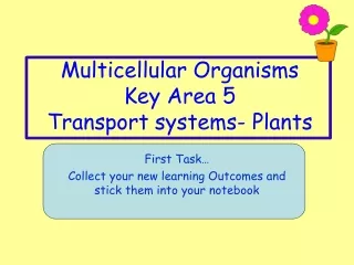 Multicellular Organisms Key Area 5 Transport systems- Plants