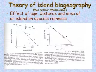 Theory of island biogeography (Mac Arthur, Wilson 1963)