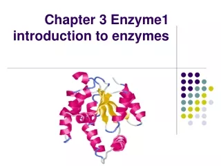 Chapter 3 Enzyme1 introduction to enzymes