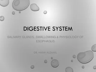 Digestive System