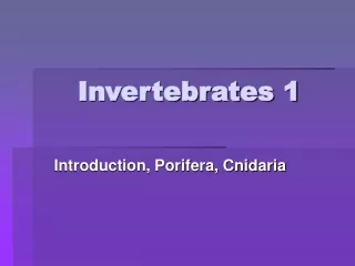 Invertebrates 1