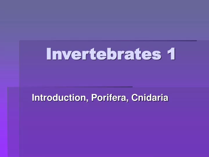 invertebrates 1