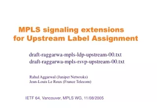 IETF 64, Vancouver, MPLS WG, 11/08/2005