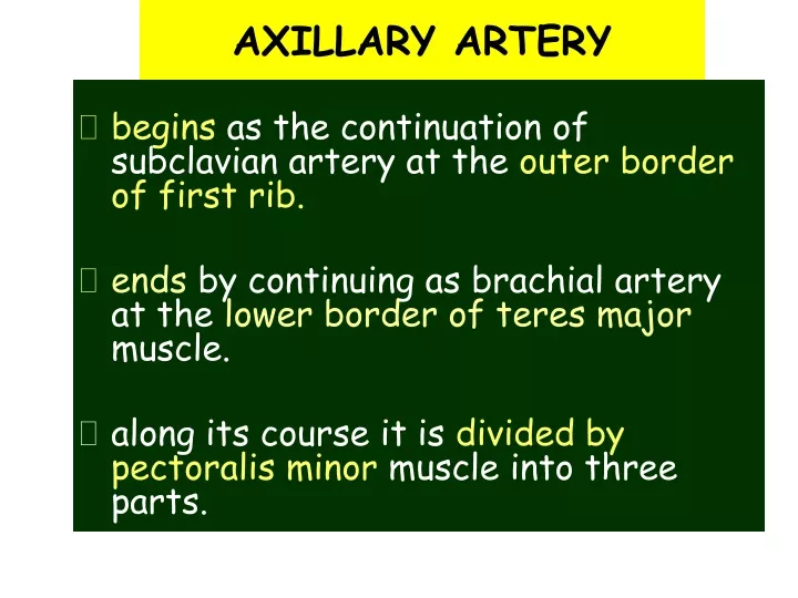 axillary artery
