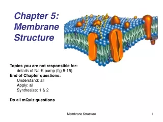 Chapter 5: Membrane  Structure