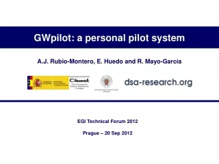 GWpilot: a personal pilot system