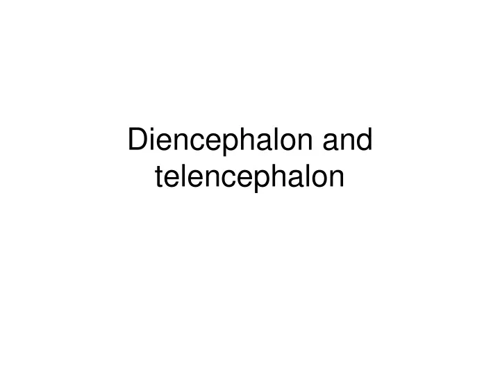 diencephalon and telencephalon