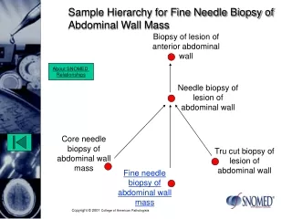 Sample Hierarchy for Fine Needle Biopsy of Abdominal Wall Mass