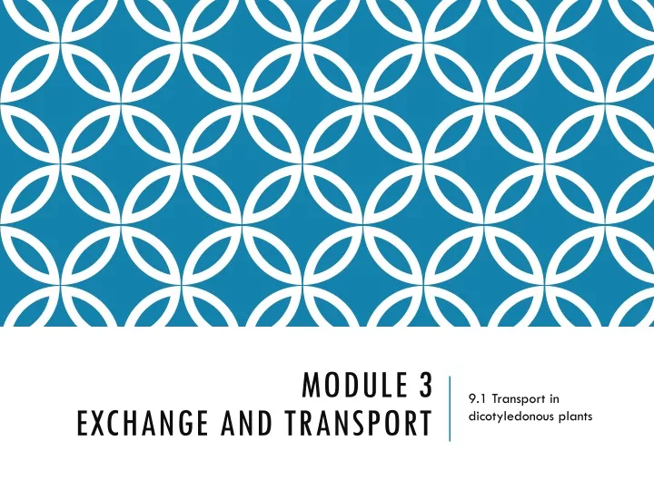 module 3 exchange and transport