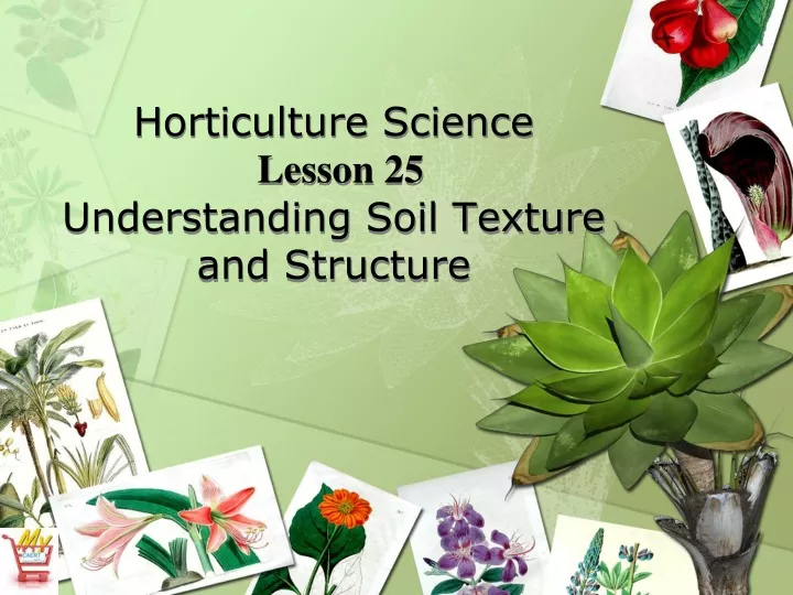 horticulture science lesson 25 understanding soil texture and structure