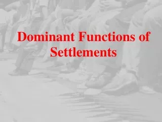 Dominant Functions of Settlements