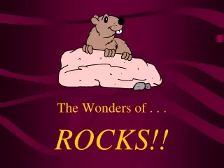 The Wonders of . . .