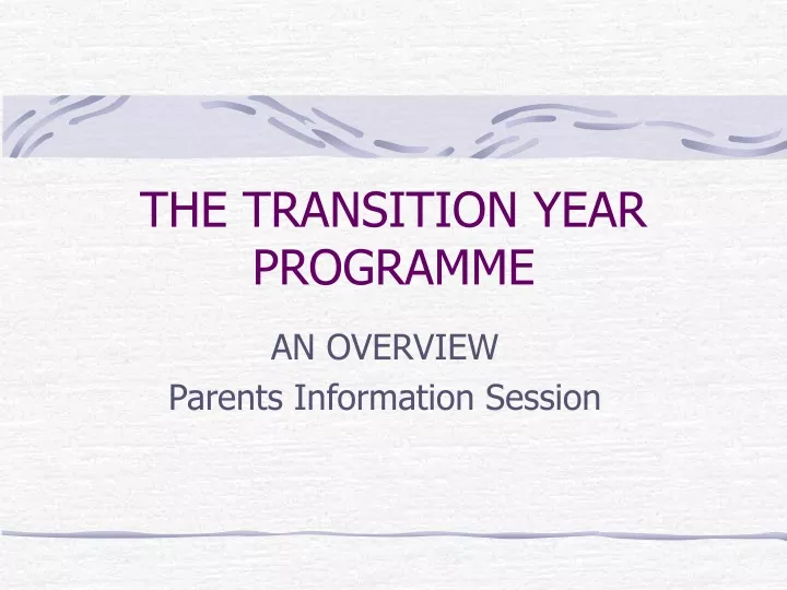 the transition year programme