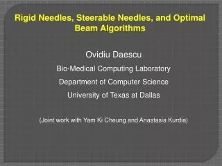 Rigid Needles, Steerable Needles, and Optimal Beam Algorithms