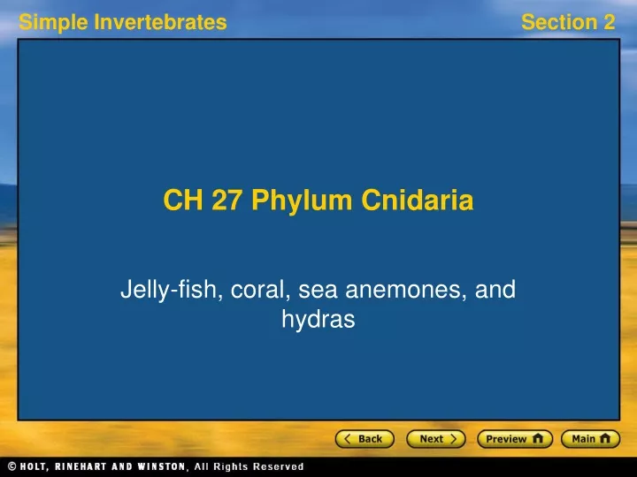 ch 27 phylum cnidaria